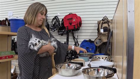 Cherryland humane society - Did you know that we have a thrift store? ALSO! Did you know that all of the profits made from the sale of donated goods goes directly to our furry...